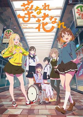 北京品质seo优化厂家报价